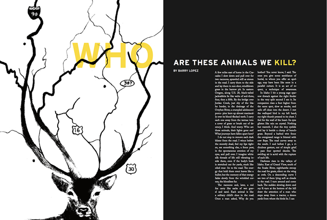 Editorial Spread